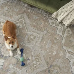 Nourison Astra Machine Washable Vintage Medallion Indoor Rug -Northlight Shop Sales GUEST 000743b1 2598 4925 aa8c 706cee1ed8f9